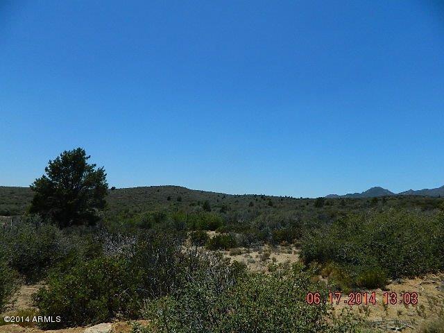 0 Lot 166 Ruger Ranch Kirkland, AZ 86332 - Photo 18 of 19 DSCN0940