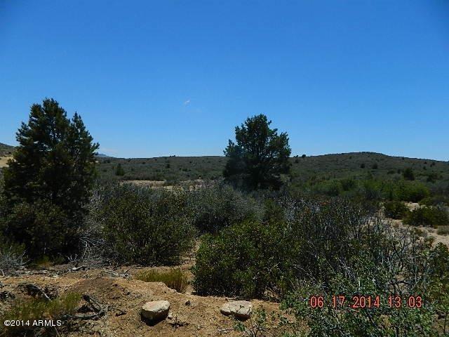 0 Lot 166 Ruger Ranch Kirkland, AZ 86332 - Photo 19 of 19 DSCN0941