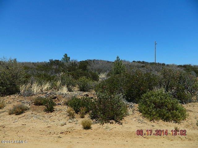 0 Lot 166 Ruger Ranch Kirkland, AZ 86332 - Photo 4 of 19 DSCN0926