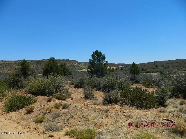 0 Lot 166 Ruger Ranch Kirkland, AZ 86332 - Photo 6 of 19 DSCN0928