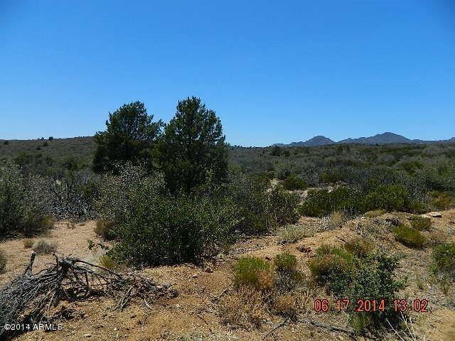 0 Lot 166 Ruger Ranch Kirkland, AZ 86332 - Photo 8 of 19 DSCN0930