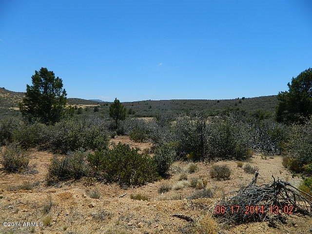 0 Lot 166 Ruger Ranch Kirkland, AZ 86332 - Photo 9 of 19 DSCN0931