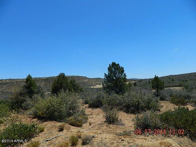 0 Lot 166 Ruger Ranch Kirkland, AZ 86332 - Photo 10 of 19 DSCN0932