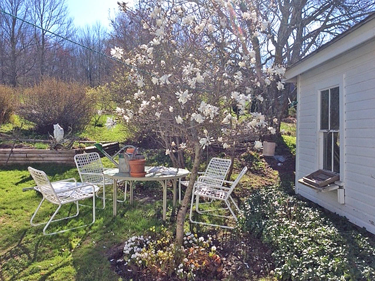 276 Friendship Road Waldoboro, ME 04572 - Photo 3 of 40 Back Yard Spring