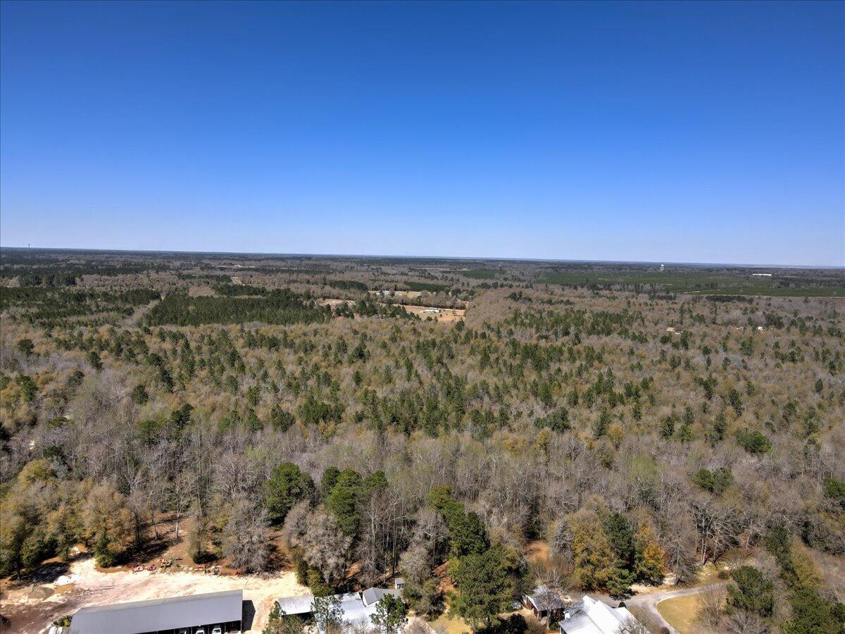 40.07-acre Tanglewood Road Williston, SC 29853 - Photo 7 of 9
