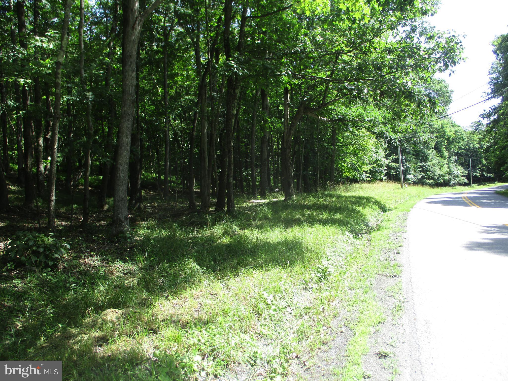 Bethlehem Road Oakland, MD 21550 - Photo 5 of 7
