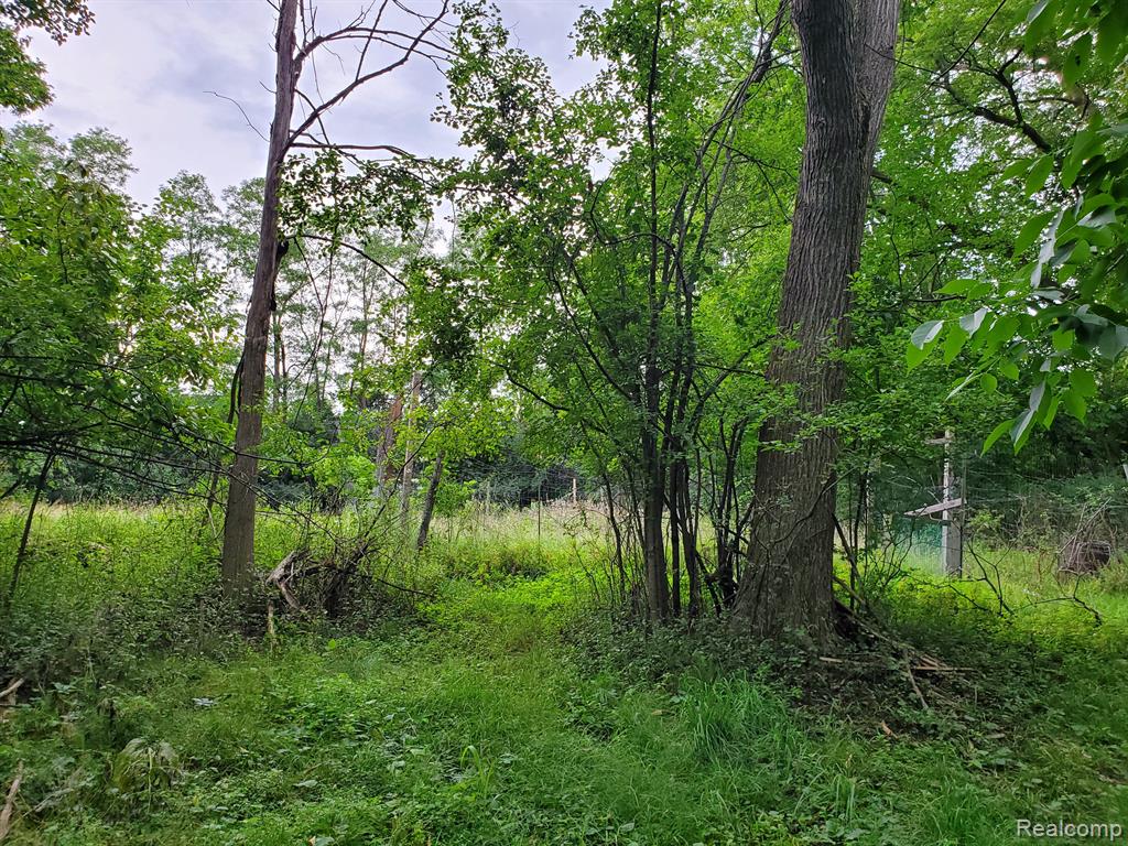 26289 Power Road Farmington Hills, MI 48334 - Photo 15 of 63