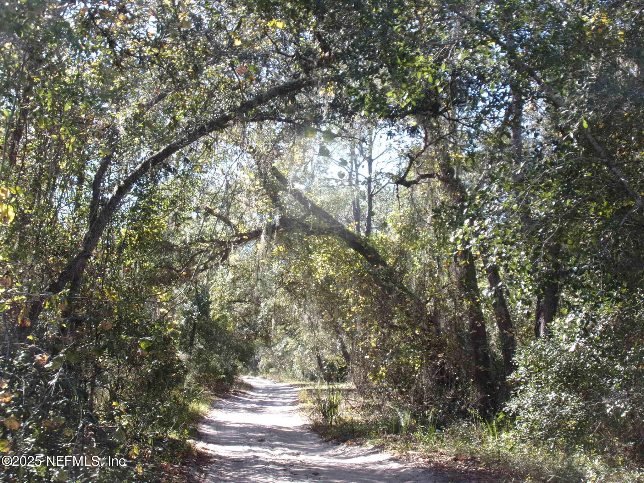 0 Oak Run Road Crescent City, FL 32112 - Photo 2 of 14 a view of a tree