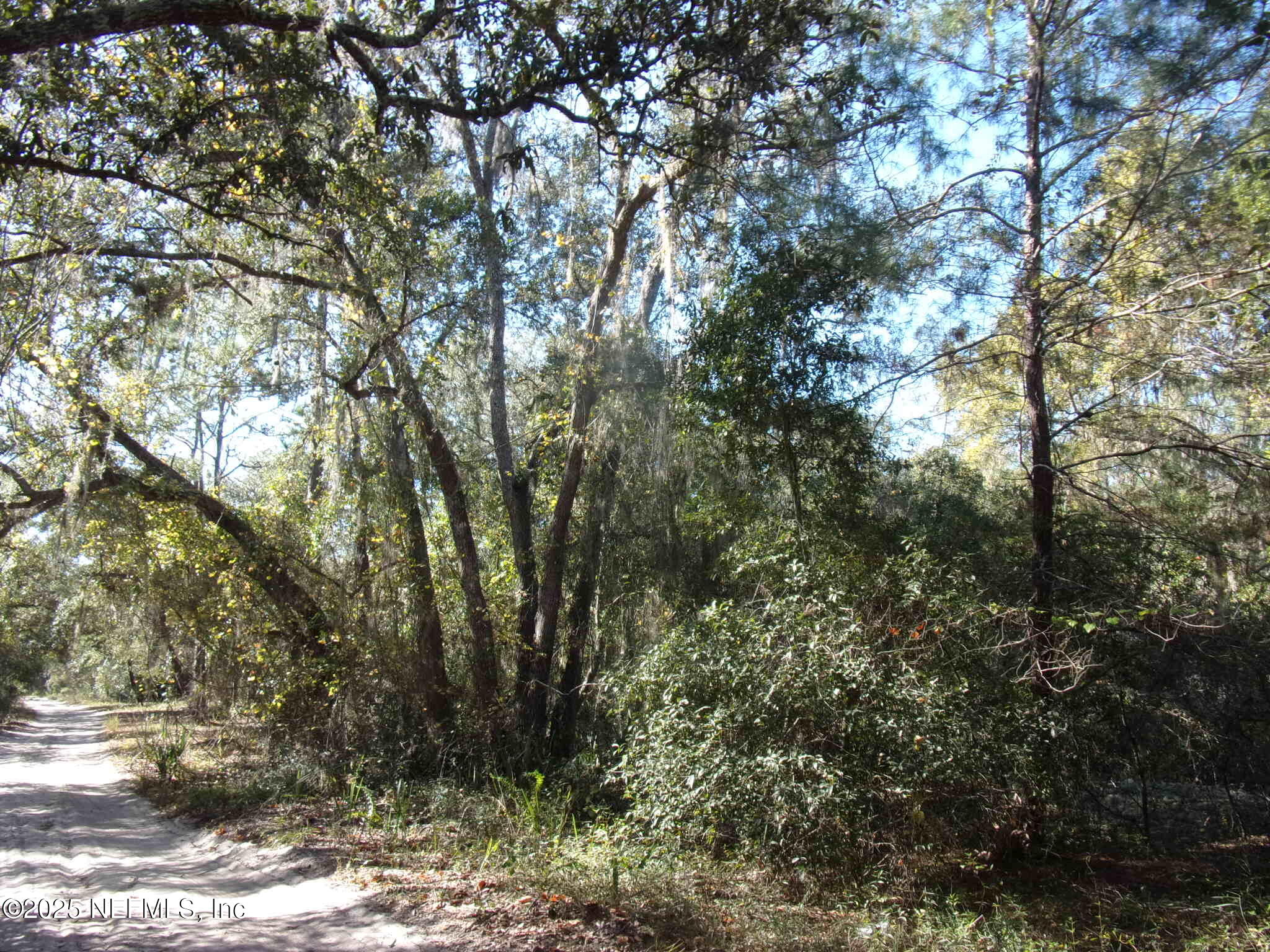 0 Oak Run Road Crescent City, FL 32112 - Photo 3 of 14 a view of forest