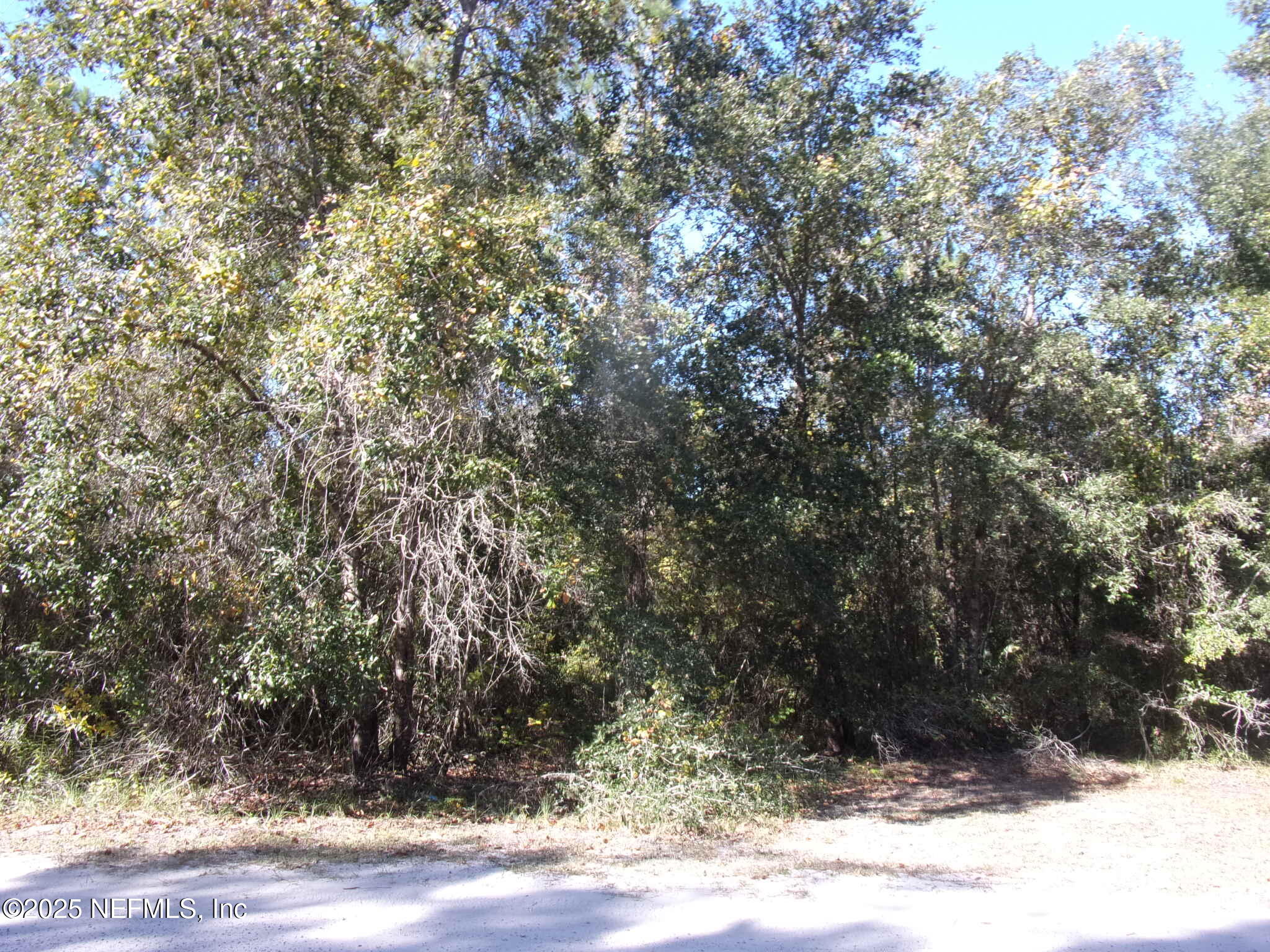 0 Oak Run Road Crescent City, FL 32112 - Photo 5 of 14 a view of a yard