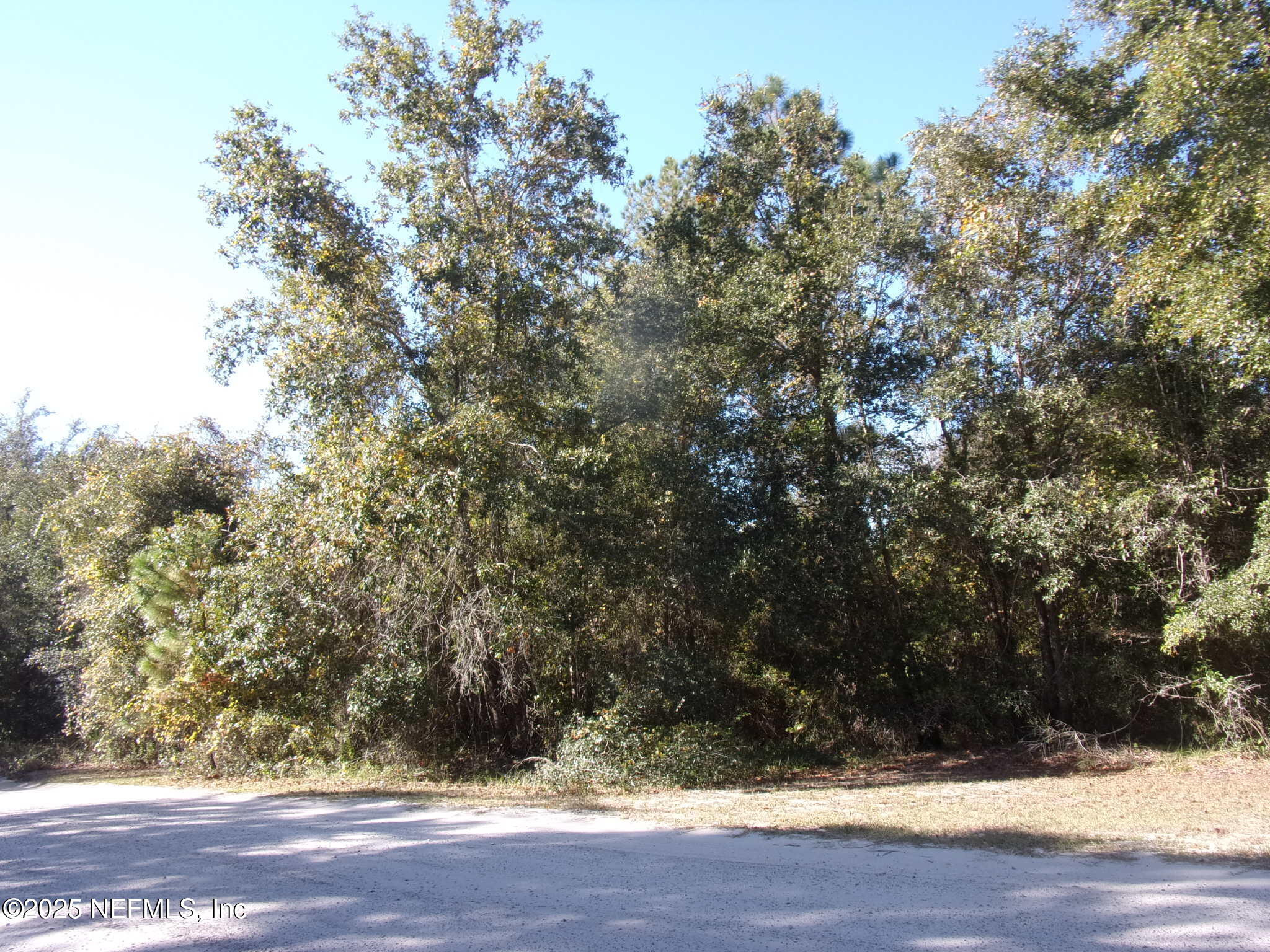 0 Oak Run Road Crescent City, FL 32112 - Photo 7 of 14 a view of wooden floor and trees