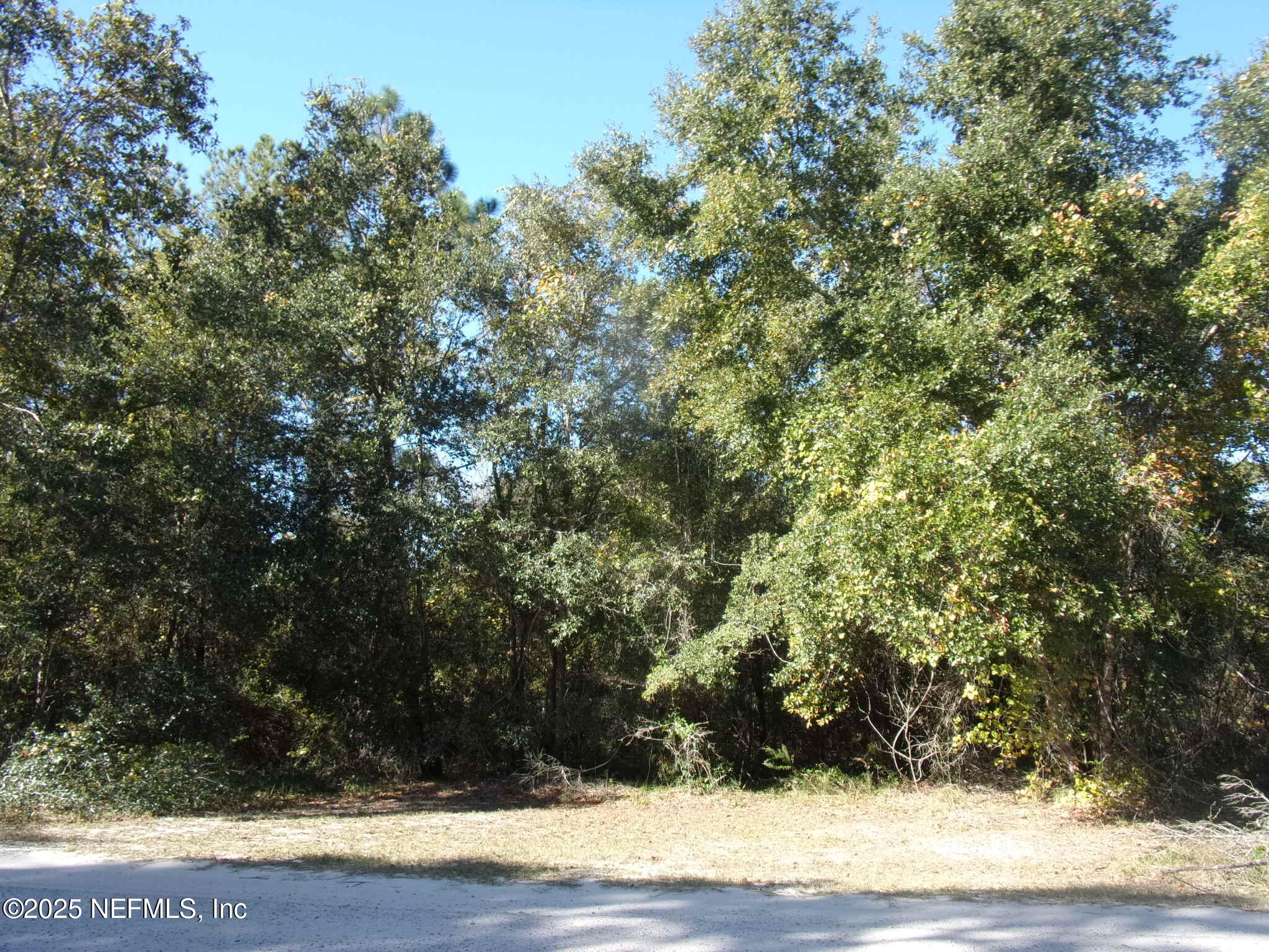 0 Oak Run Road Crescent City, FL 32112 - Photo 8 of 14 a view of outdoor space with wooden floor