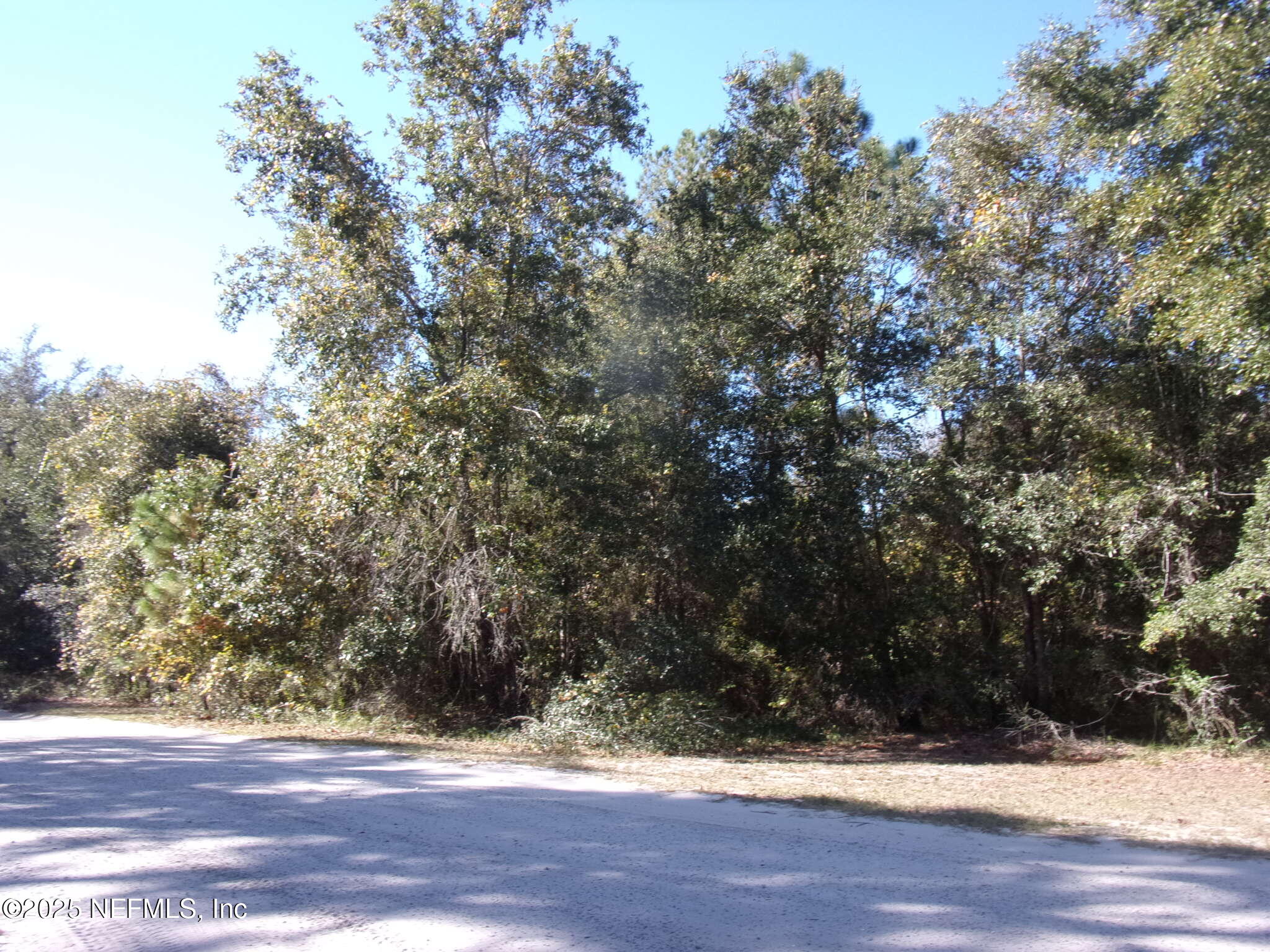 0 Oak Run Road Crescent City, FL 32112 - Photo 9 of 14 a view of a yard and trees