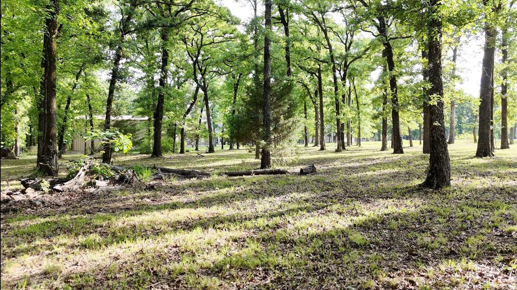 Lot 62 Anchor Point Quinlan, TX 75474 - Photo 7 of 8 a view of outdoor space with trees
