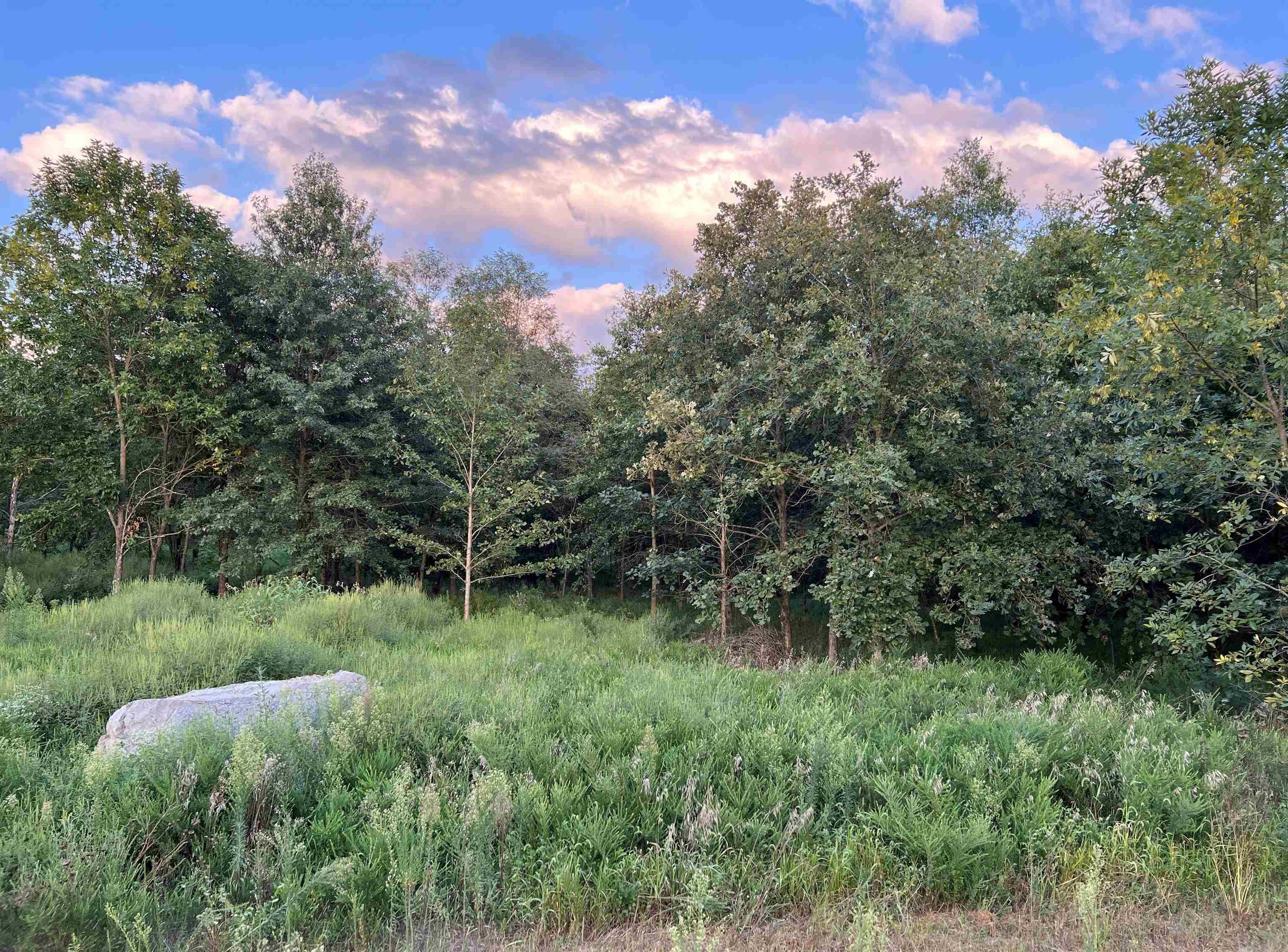 4522 Zoar Church Road Elberfeld, IN 47613 - Photo 1 of 14