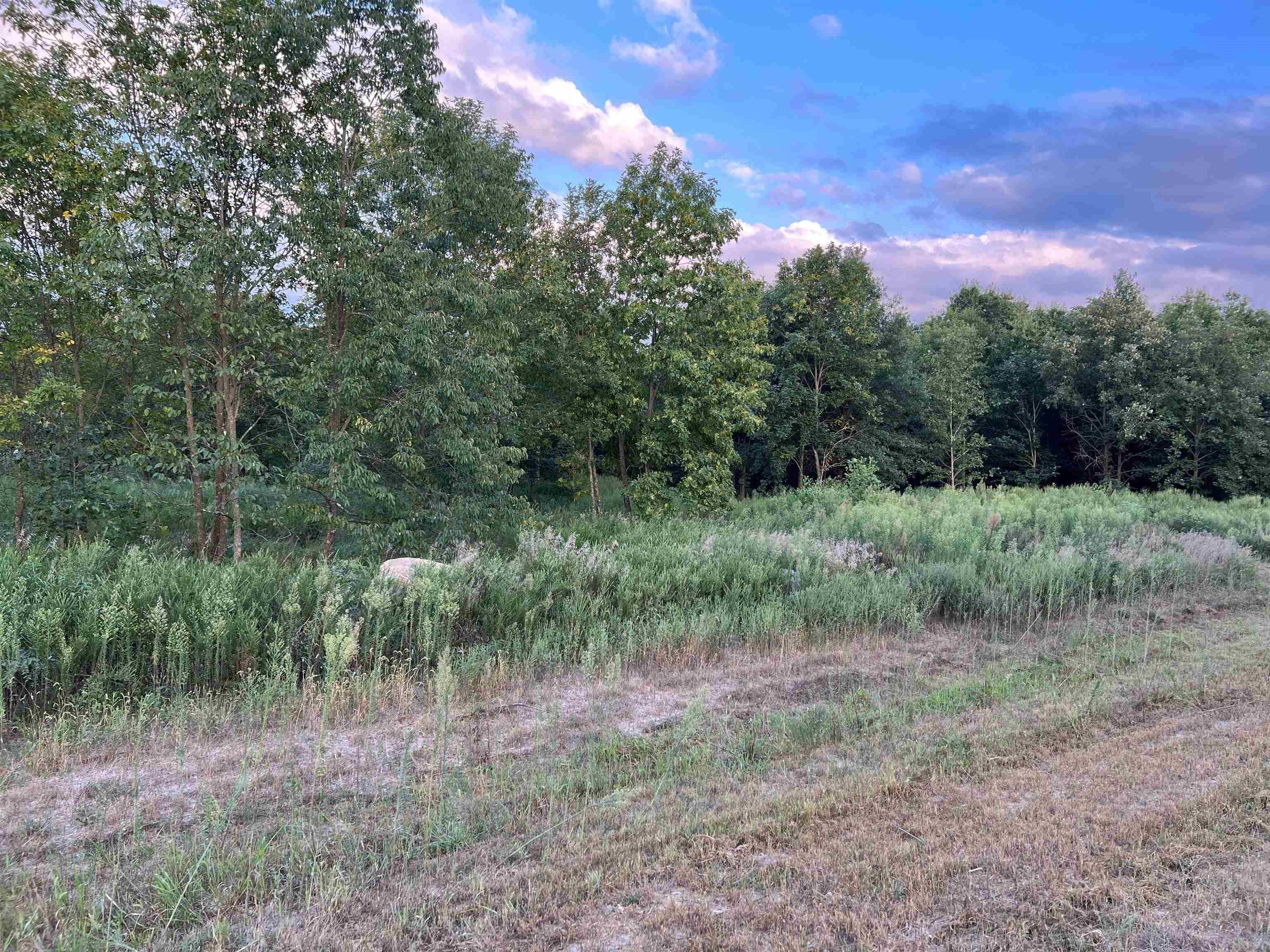4522 Zoar Church Road Elberfeld, IN 47613 - Photo 11 of 14