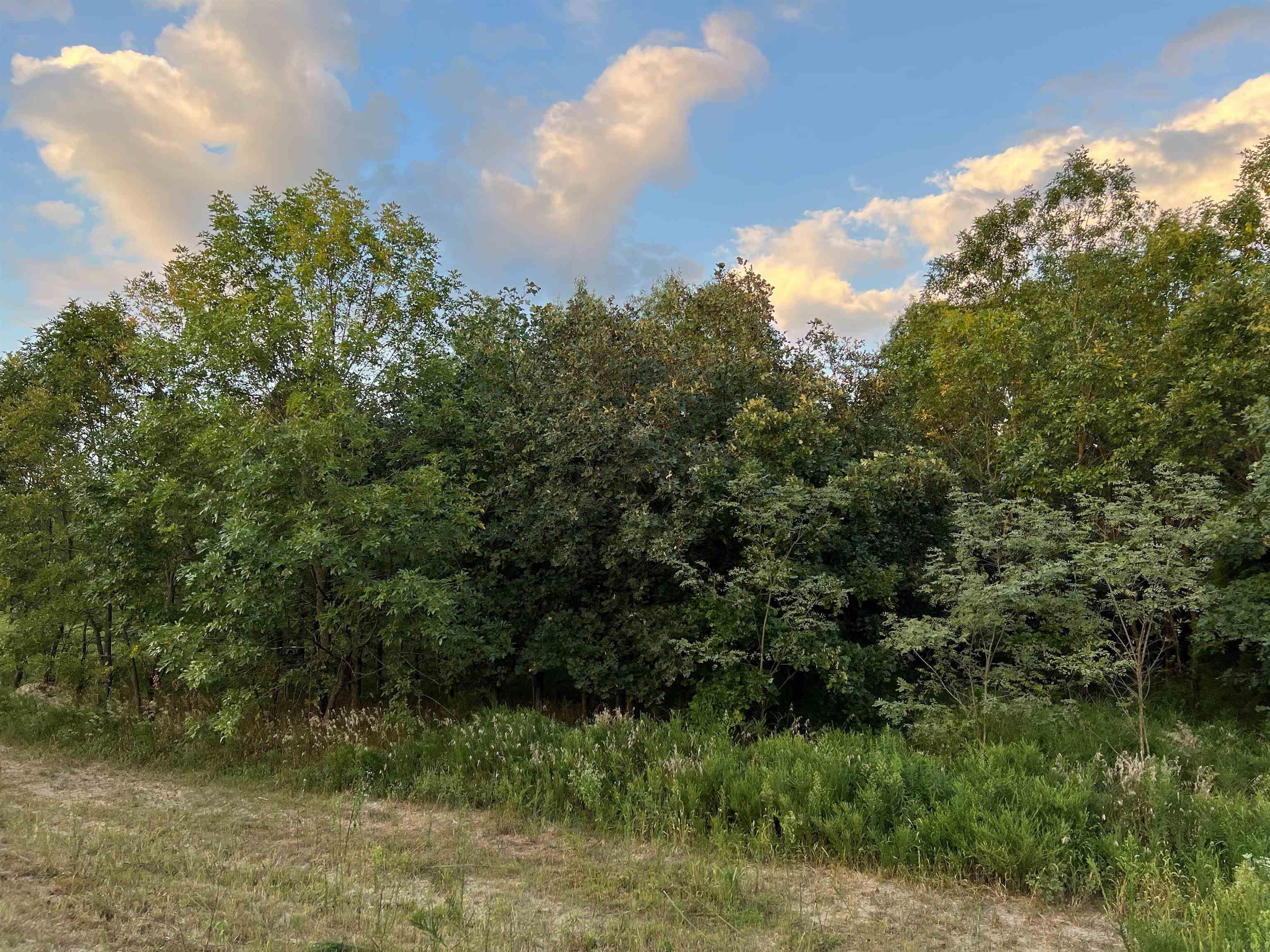 4522 Zoar Church Road Elberfeld, IN 47613 - Photo 12 of 14