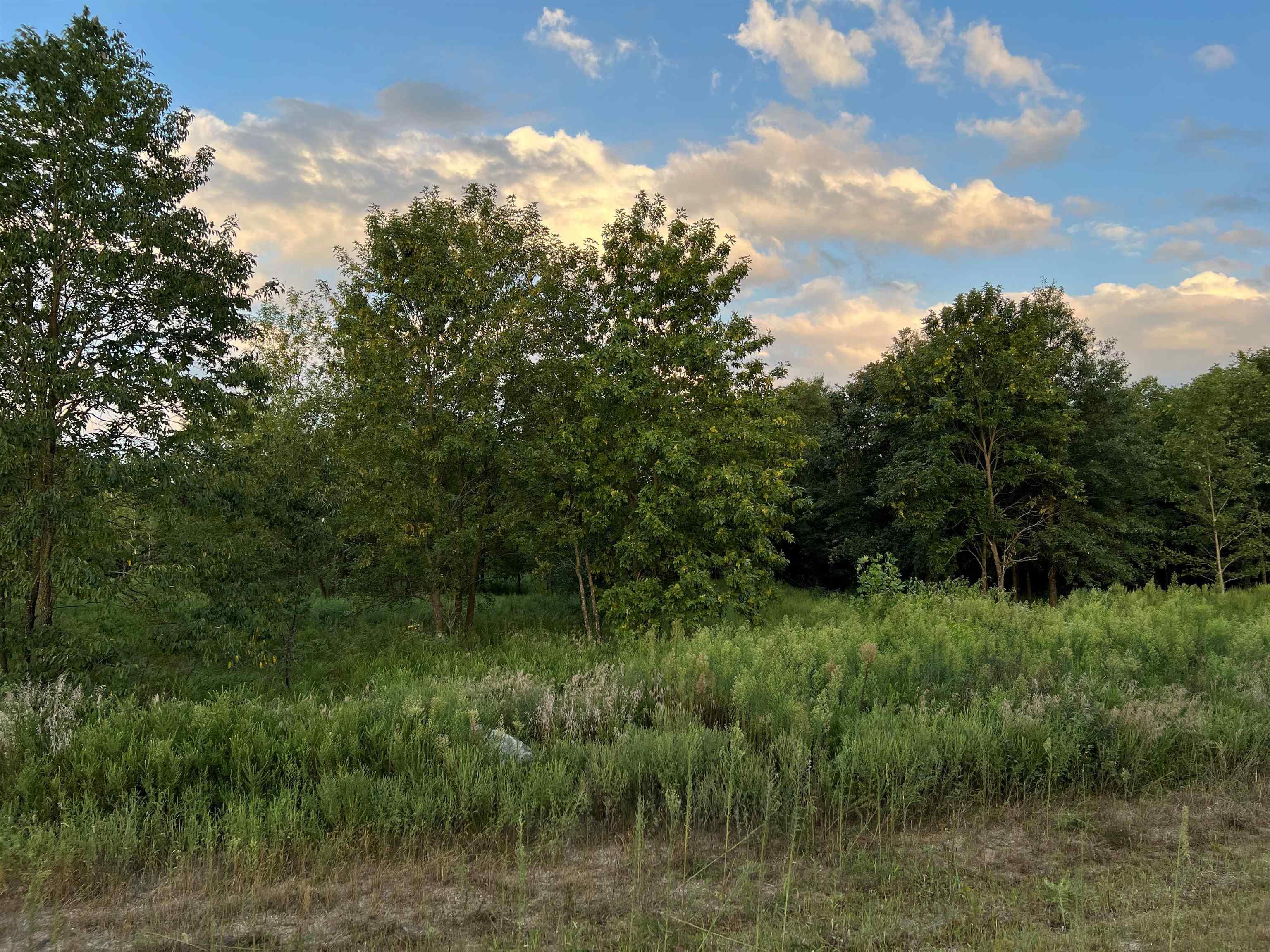 4522 Zoar Church Road Elberfeld, IN 47613 - Photo 13 of 14