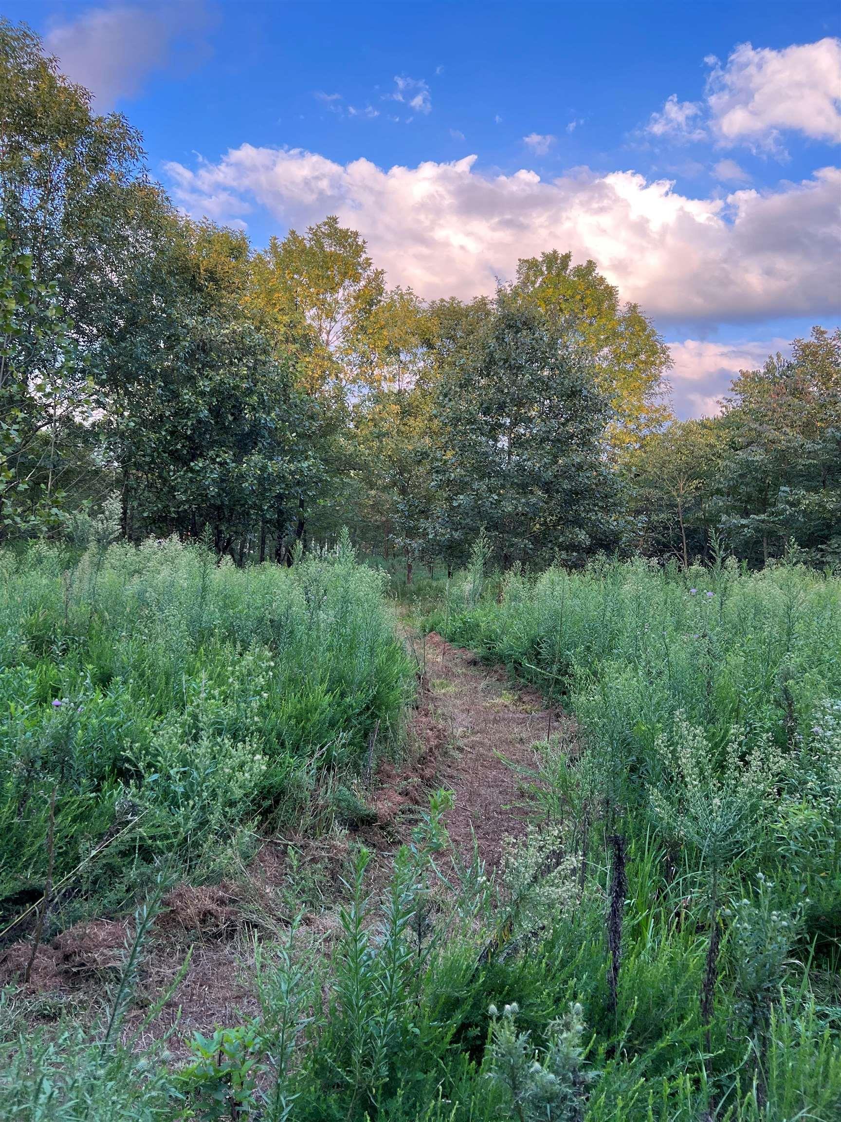 4522 Zoar Church Road Elberfeld, IN 47613 - Photo 14 of 14