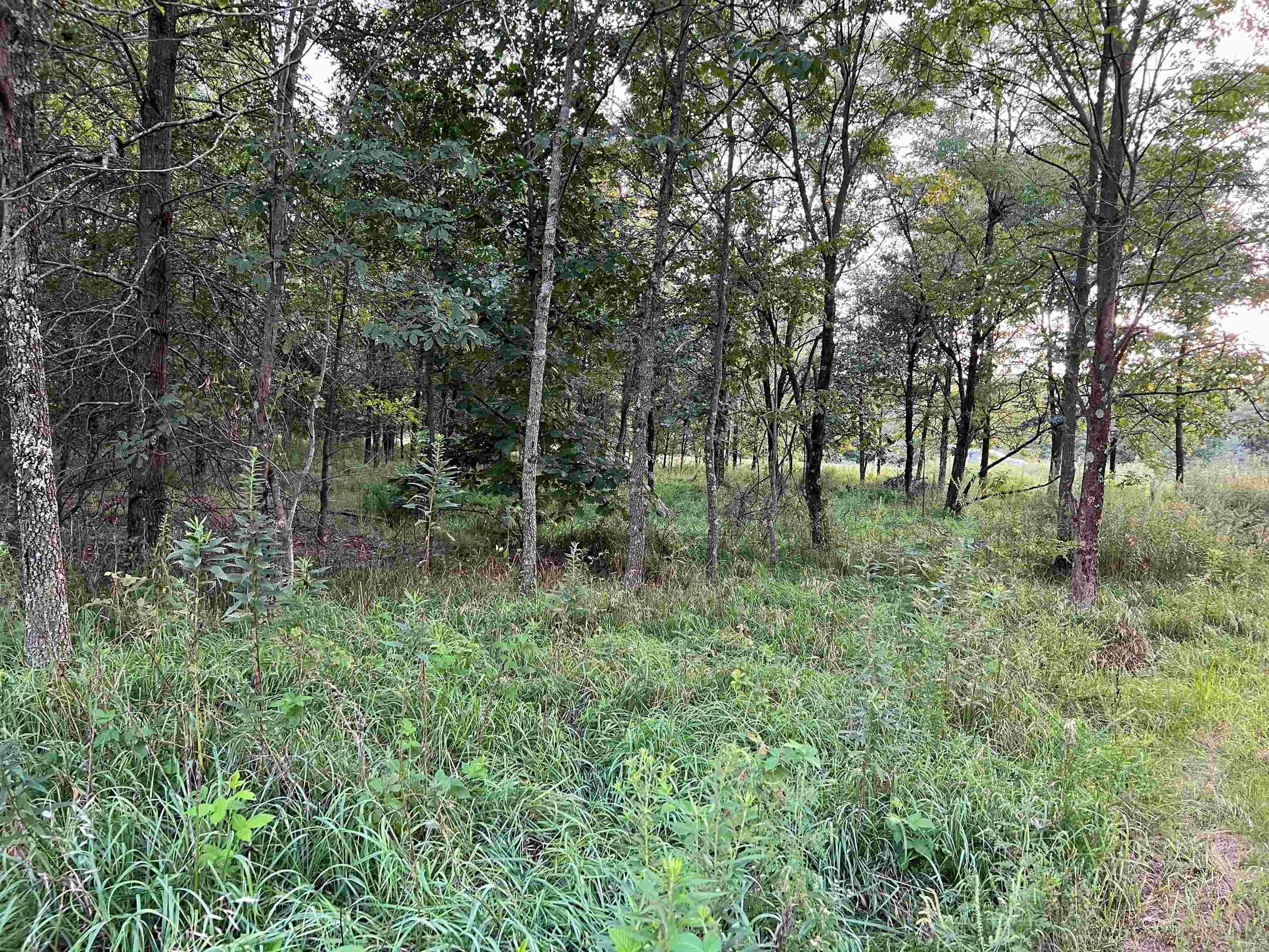 4522 Zoar Church Road Elberfeld, IN 47613 - Photo 7 of 14
