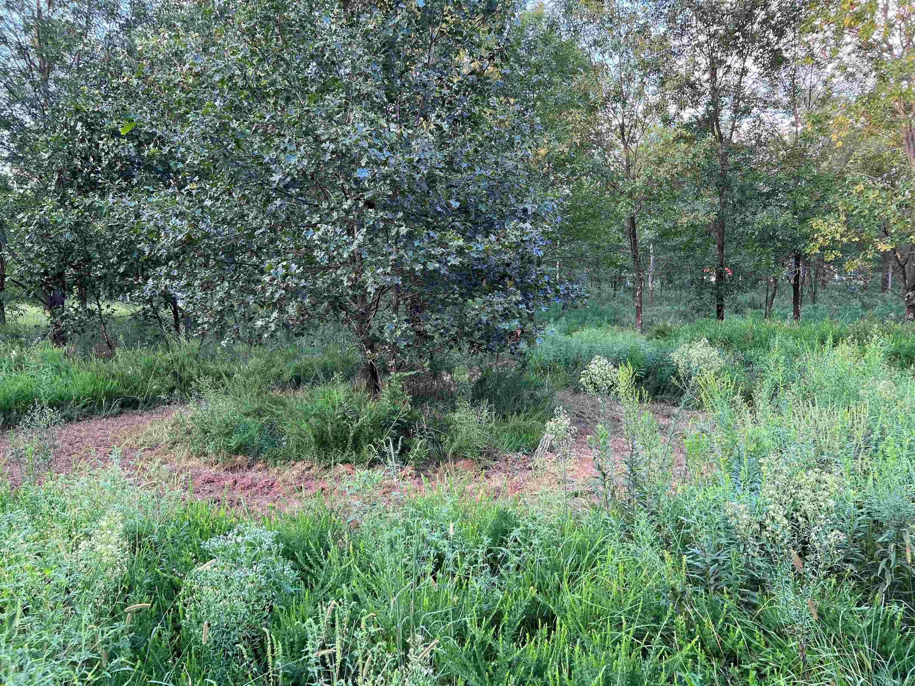 4522 Zoar Church Road Elberfeld, IN 47613 - Photo 10 of 14
