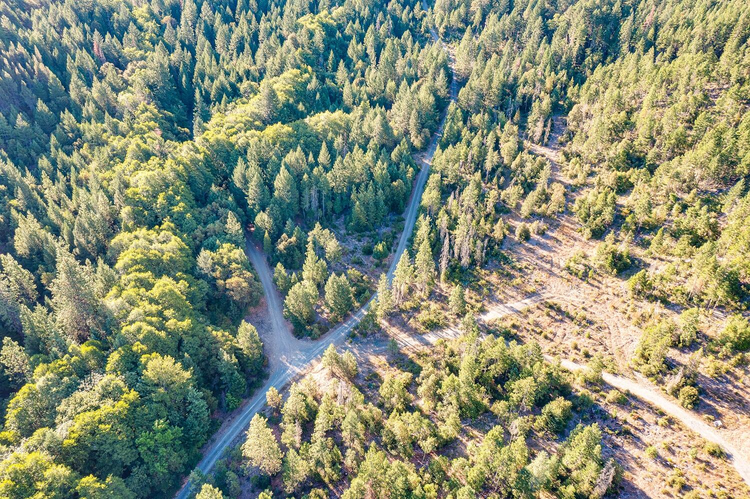0 Thompson Creek Road Jacksonville, OR 97530 - Photo 10 of 17 Ninemile 11