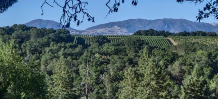 0 Hilltop Road Healdsburg, CA 95448 - Photo 2 of 8