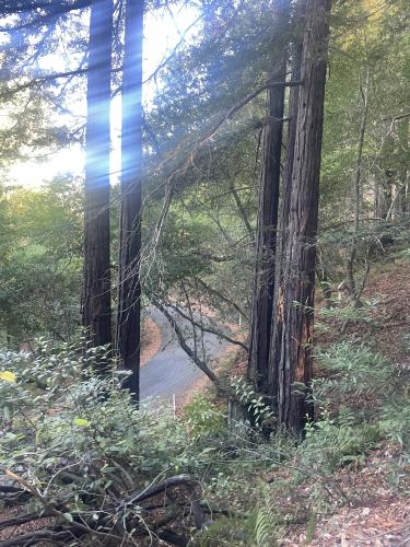 0 Hilltop Road Healdsburg, CA 95448 - Photo 5 of 8