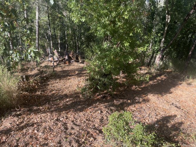 0 Hilltop Road Healdsburg, CA 95448 - Photo 7 of 8