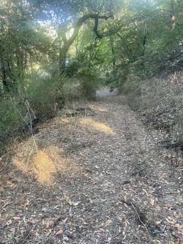 0 Hilltop Road Healdsburg, CA 95448 - Photo 8 of 8