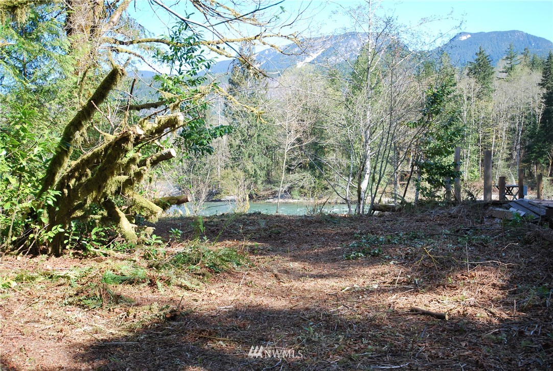 49717 Mt Index Road Gold Bar, WA 98251 - Photo 2 of 15 Gallery Image 2