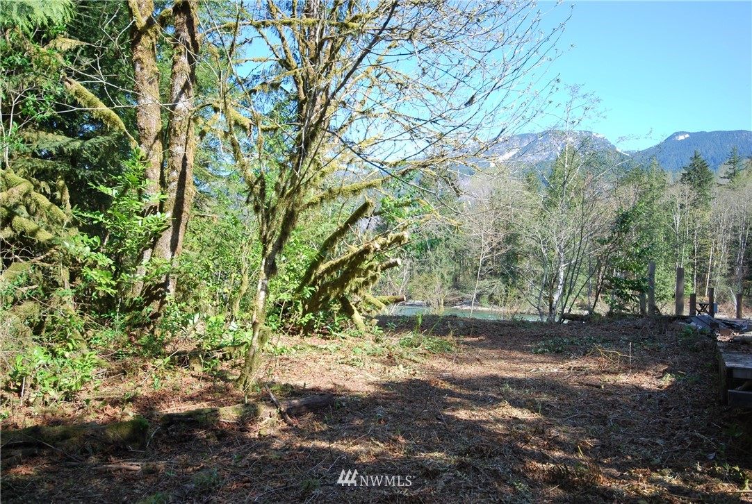 49717 Mt Index Road Gold Bar, WA 98251 - Photo 11 of 15 Gallery Image 11