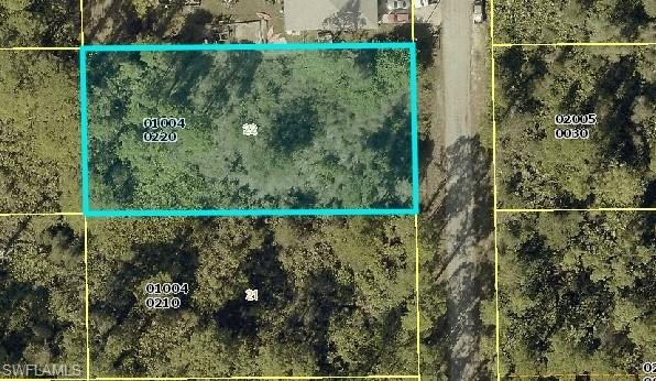 2019 Scott Avenue Alva, FL 33920 - Photo 1 of 1 Aerial overview of property's location featuring property parcel outlined