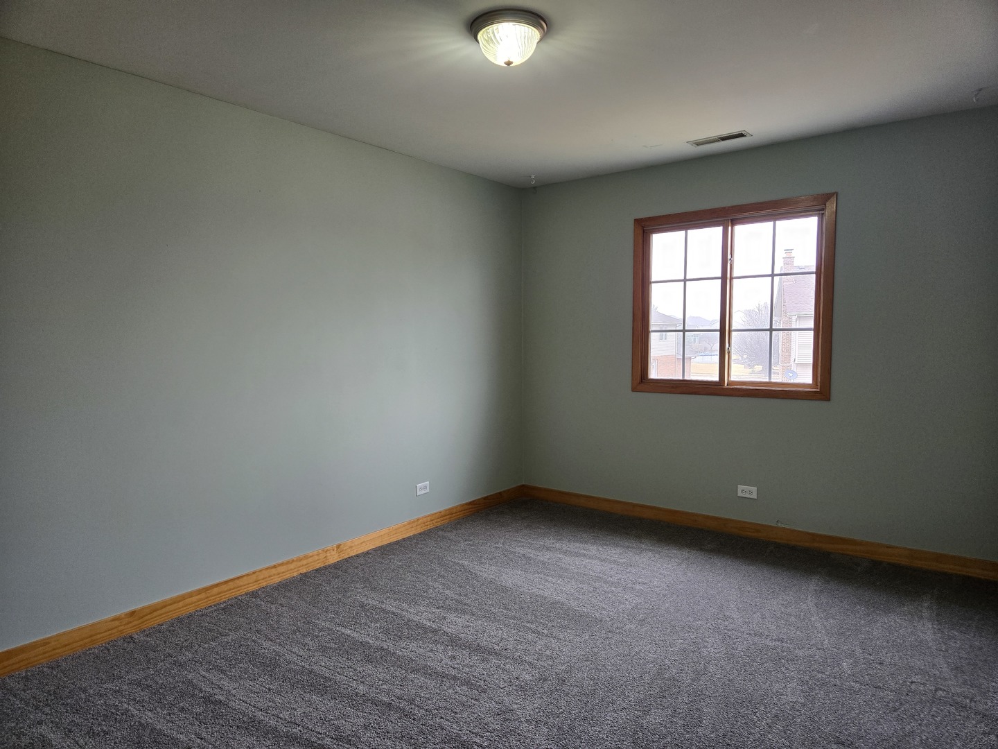 1123 Meadow Path Manteno, IL 60950 - Photo 18 of 30