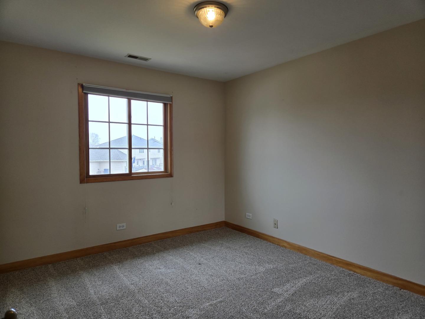 1123 Meadow Path Manteno, IL 60950 - Photo 19 of 30