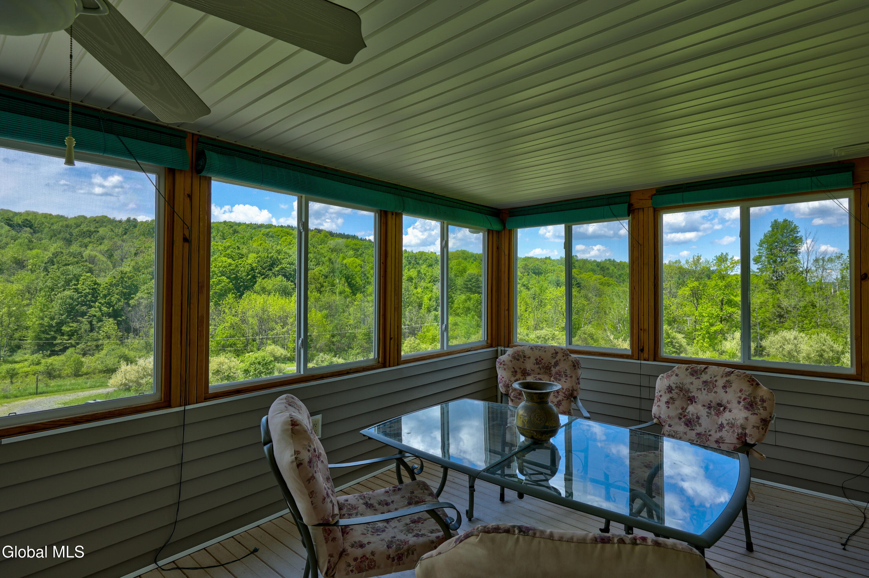 441 Hite Road Warnerville, NY 12187 - Photo 24 of 39 1 (23)