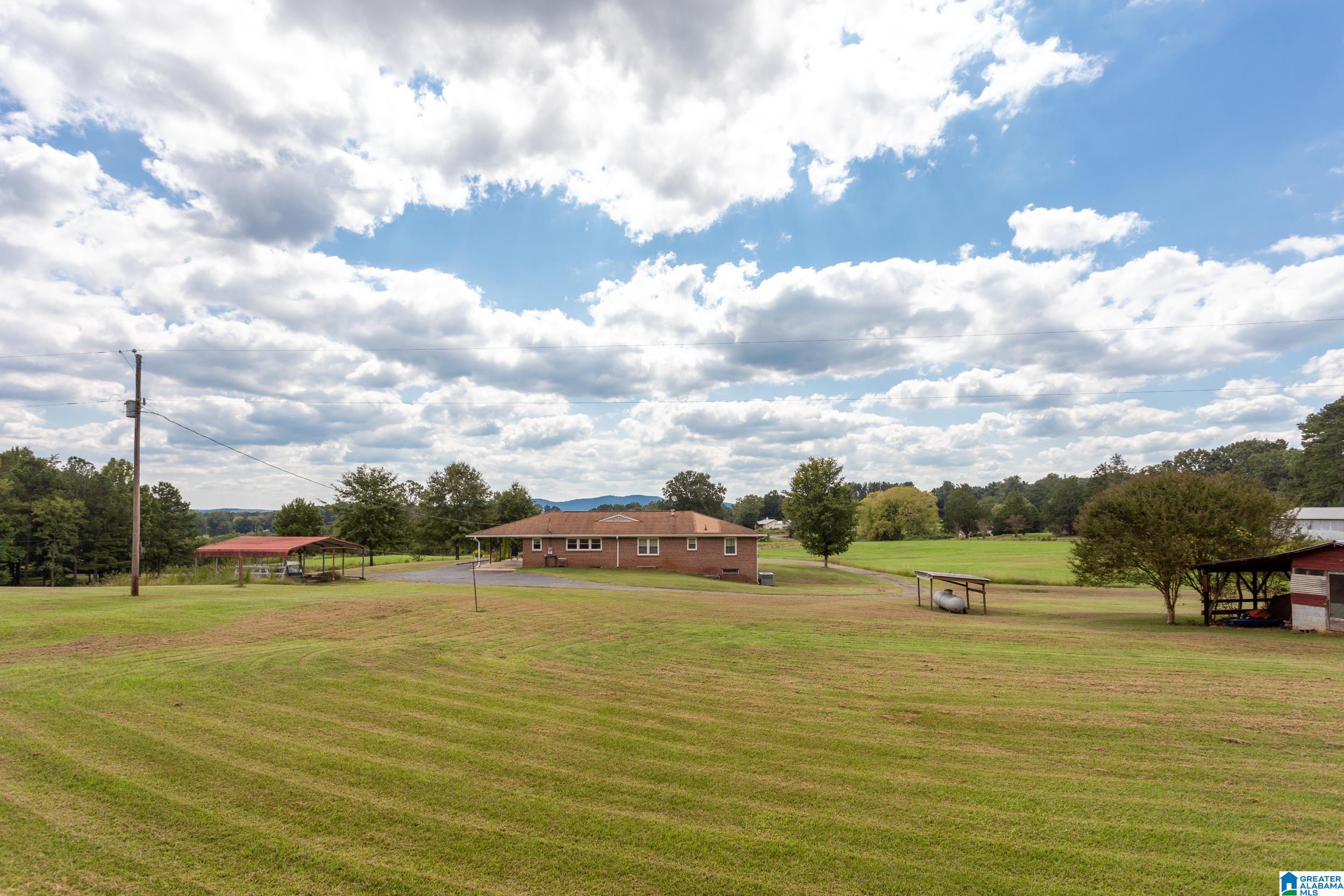 551 Burtram Road Springville, AL 35146 - Photo 20 of 22
