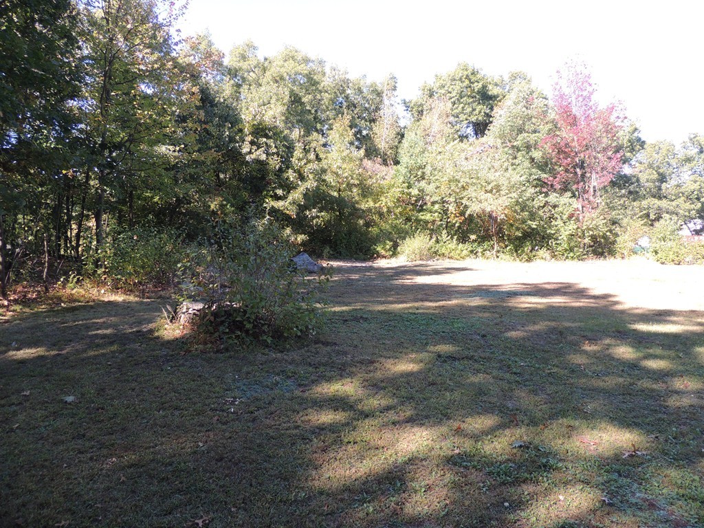 248 Fiberloid Street Springfield, MA 01151 - Photo 23 of 23 a view of a yard with a tree