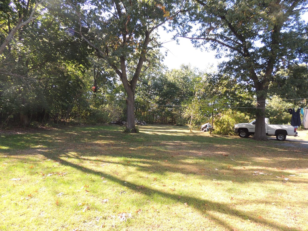 248 Fiberloid Street Springfield, MA 01151 - Photo 8 of 23 a view of a yard with swimming pool