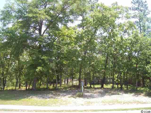Lot 51 Highwood Circle Murrells Inlet, SC 29576 - Photo 5 of 16 Gallery Image 5