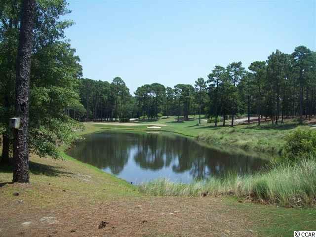 Lot 51 Highwood Circle Murrells Inlet, SC 29576 - Photo 6 of 16 Gallery Image 6