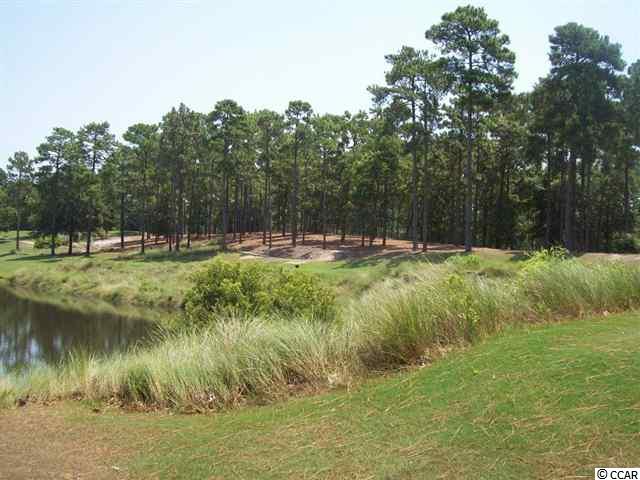Lot 51 Highwood Circle Murrells Inlet, SC 29576 - Photo 7 of 16 Gallery Image 7