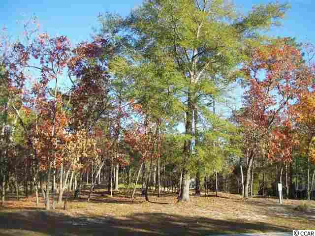 Lot 51 Highwood Circle Murrells Inlet, SC 29576 - Photo 10 of 16 Gallery Image 10