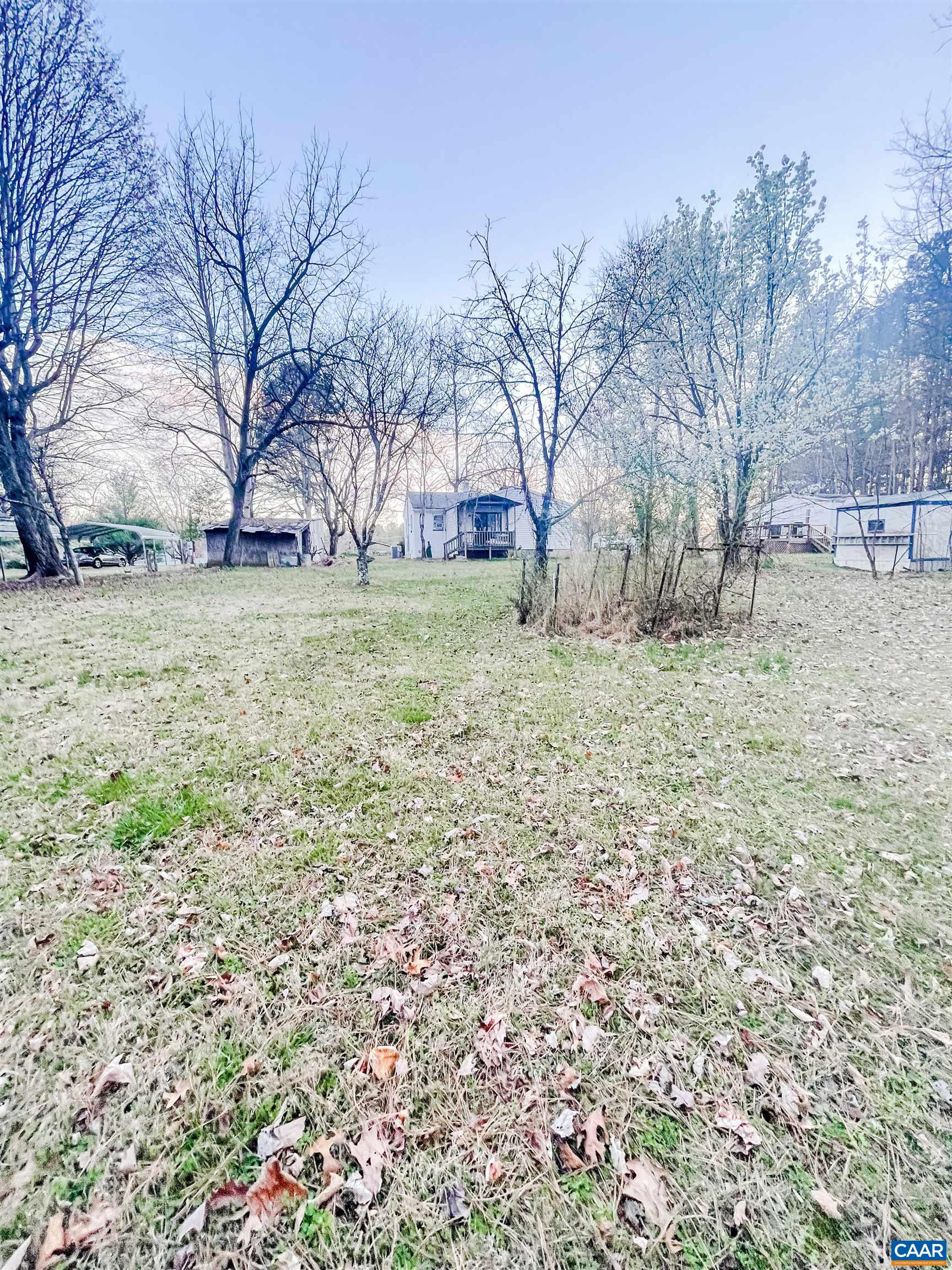 89 1 Horse Road Buckingham, VA 23921 - Photo 5 of 15 a tree in the middle of a yard