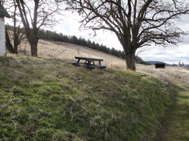 210 Patit Road Dayton, WA 99328 - Photo 1 of 1
