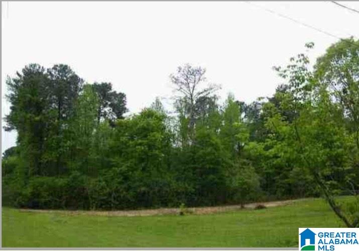 2446 Bone Dry Road Trafford, AL 35172 - Photo 4 of 8