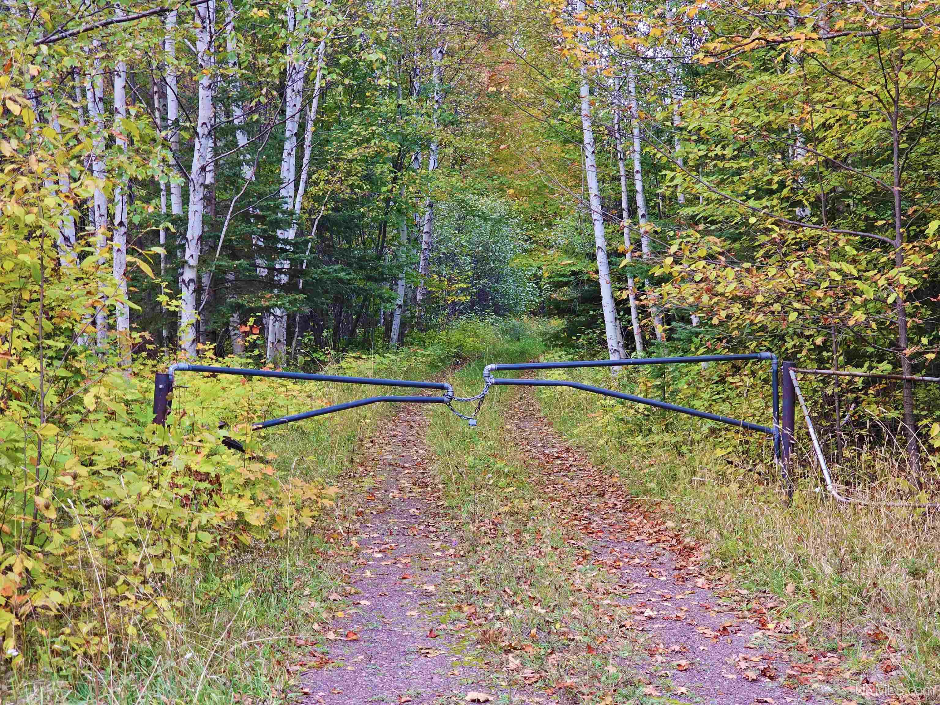 Tbd Bear Lake Road Hancock, MI 49930 - Photo 4 of 17