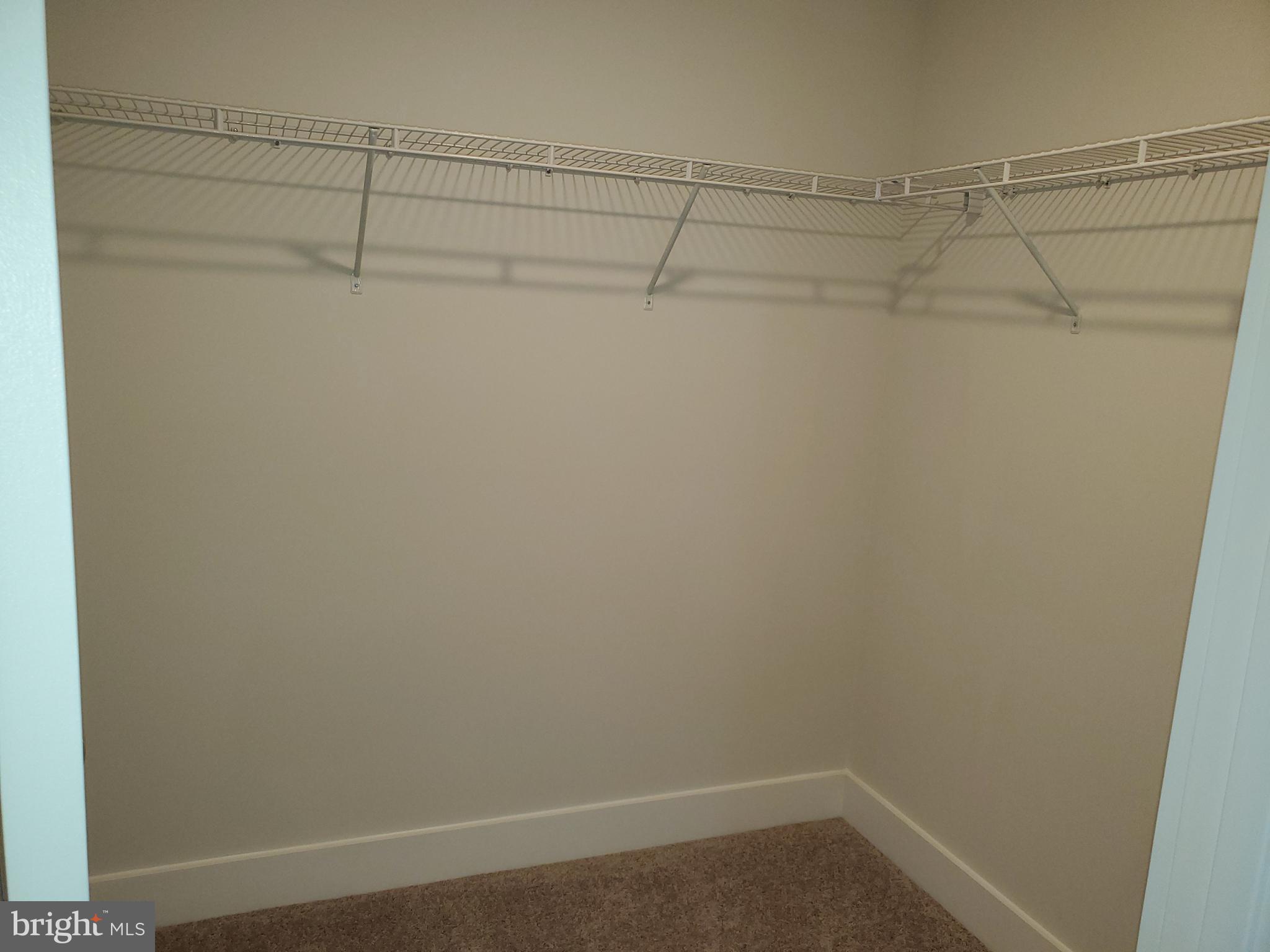 1404 Canopy Lane Odenton, MD 21113 - Photo 41 of 42 Gallery Image 41