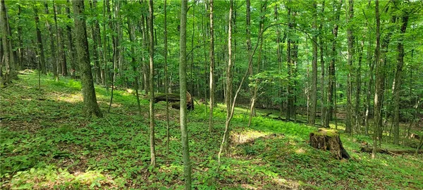 $139,500 | Hagerman, Chemung, NY 14892
