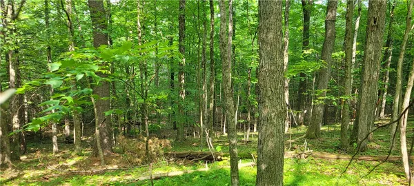 $139,500 | Hagerman, Chemung, NY 14892